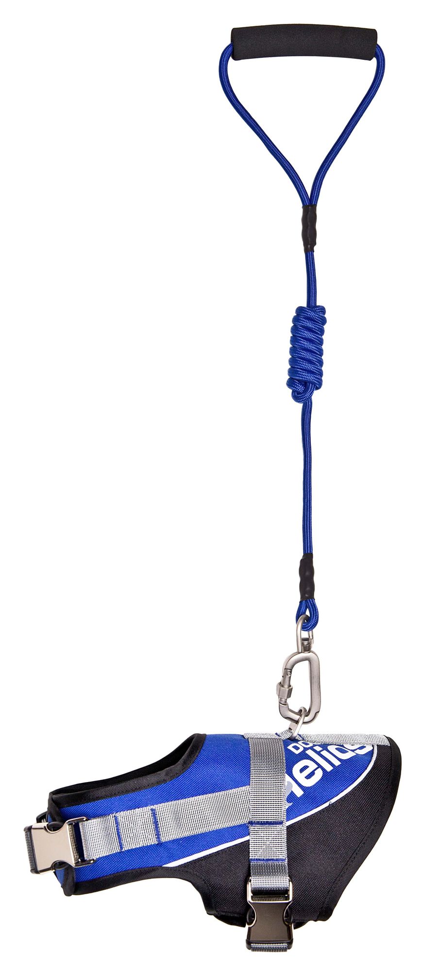 Reflective dog harness and leash set in blue with adjustable straps and padded handle for secure walks