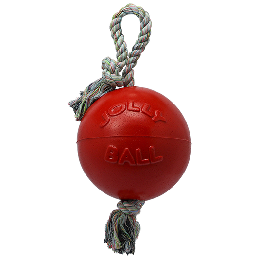 Jolly Pets red dog rope ball toy with sturdy rope for interactive playtime and fetch