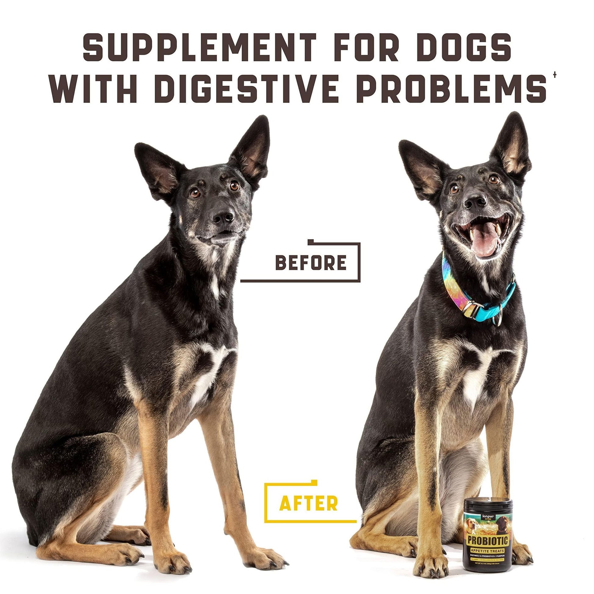 Before and after image of a black and tan dog showing improvement using dog probiotics for itchy skin with supplement jar
