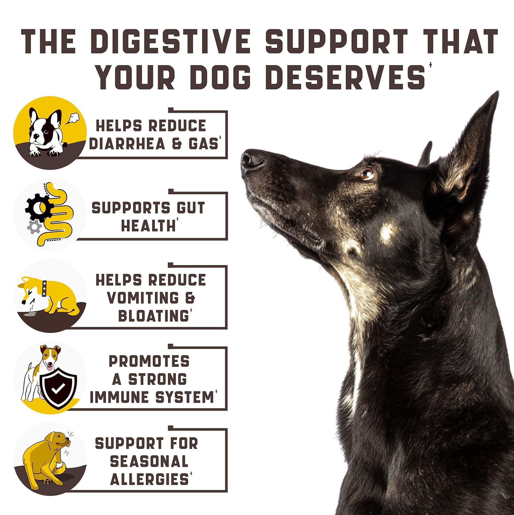 Dog probiotics for itchy skin with benefits like reducing diarrhea gas vomiting and boosting immune system