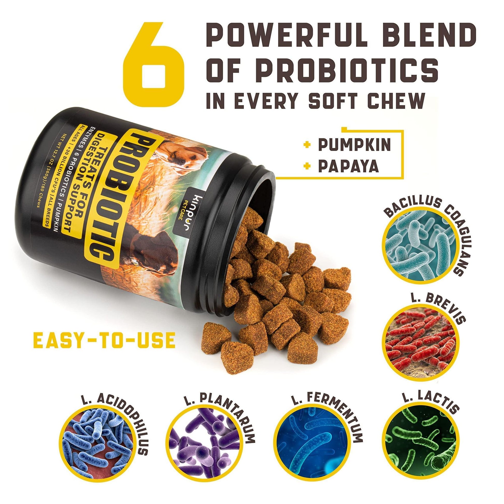 Dog probiotics for itchy skin soft chews with six powerful probiotic strains and pumpkin papaya