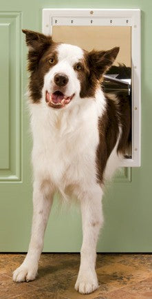 PetSafe large pet door for dogs installed in a green door with a happy dog coming through