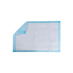 Large pet training pads with blue border for effective pet house training from PawCounter.com