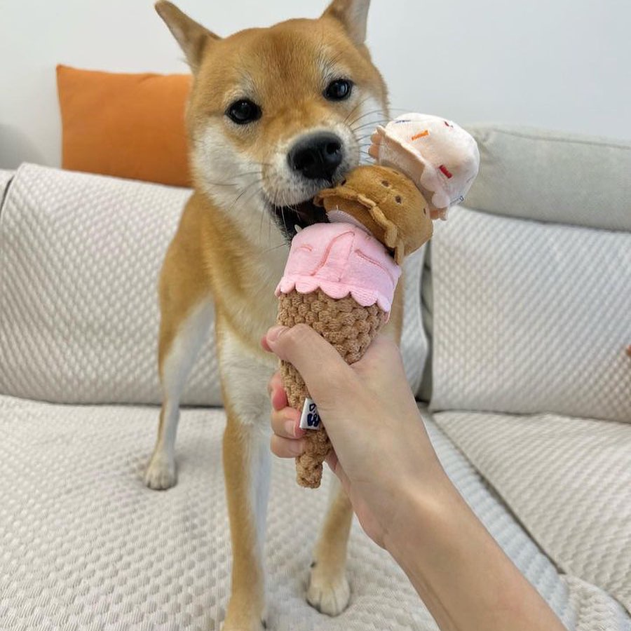 ICE CREAM PLUSH DOG TOY