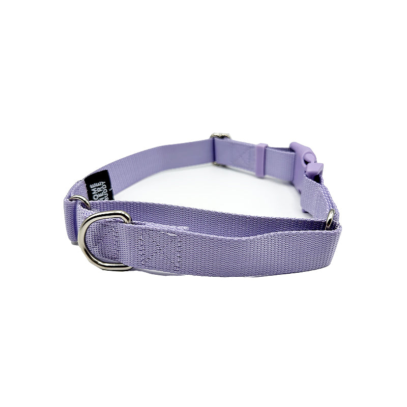 Martingale Dog Collar