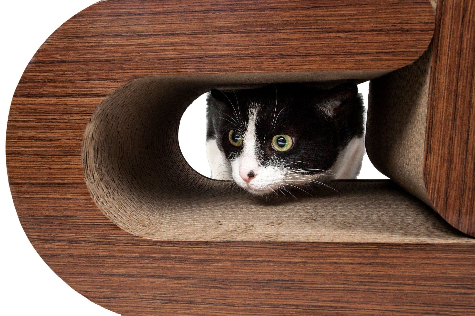 Black and white cat peeking through circular opening in luxury cat scratcher furniture with wood finish