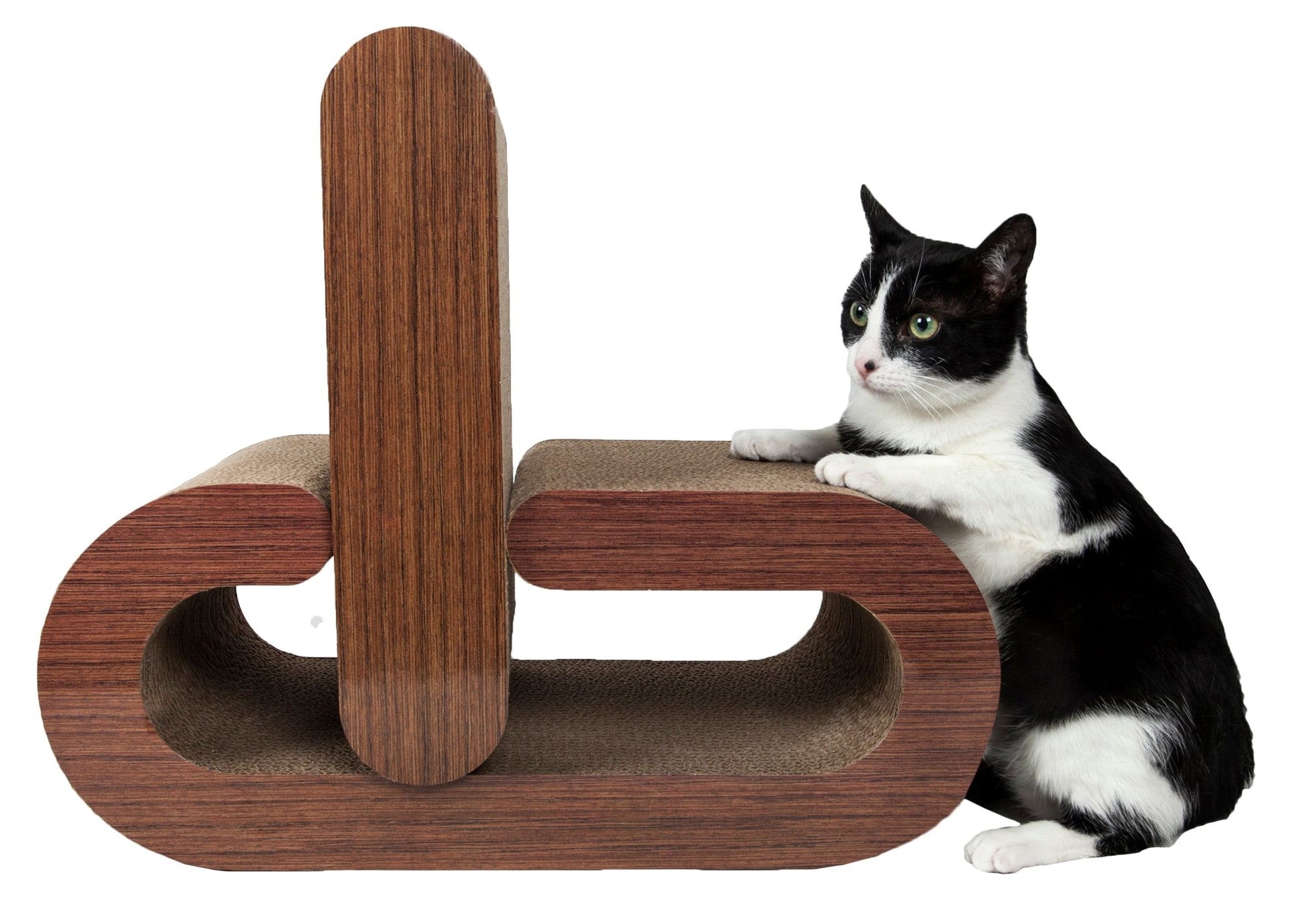Black and white cat using luxury cat scratcher furniture with wooden finish and modern design