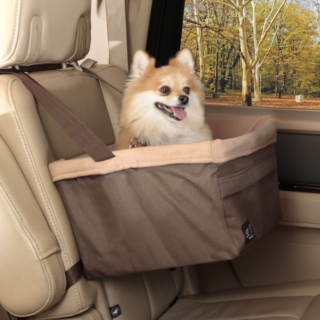 PetSafe medium pet booster seat installed in car with small dog sitting inside safely
