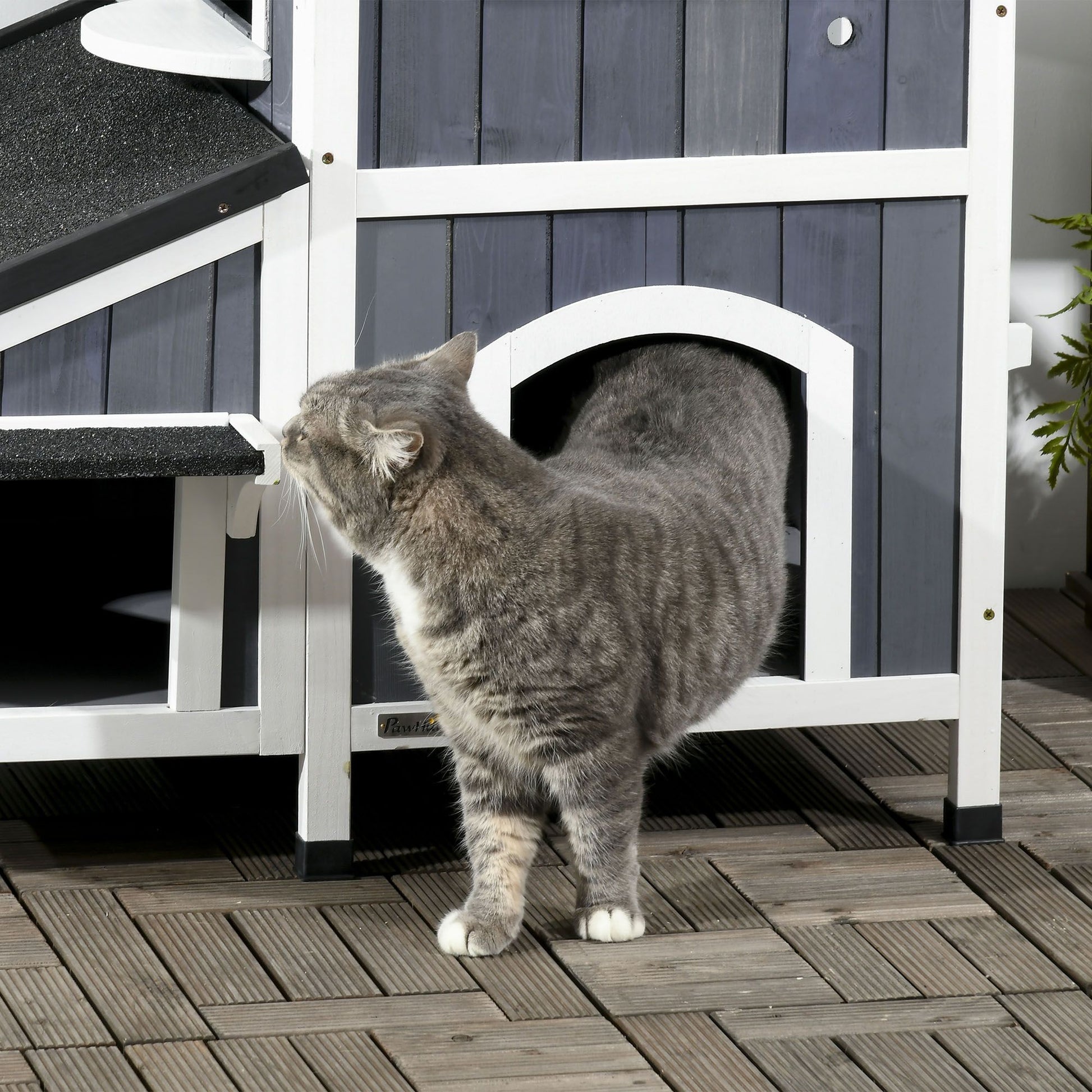 Gray tabby cat standing in front of a gray and white outdoor cat house with flower pot on wooden deck