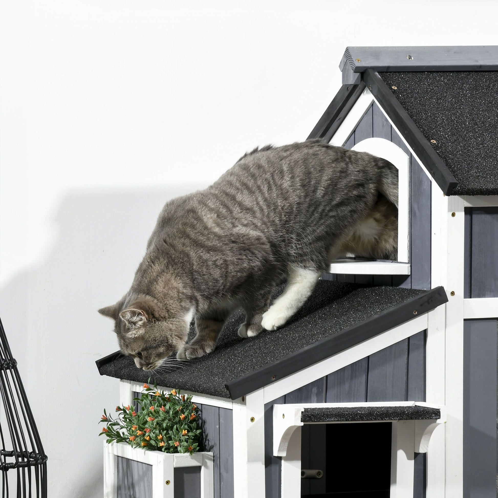 Gray tabby cat climbing outdoor cat house with flower pot attached under small window
