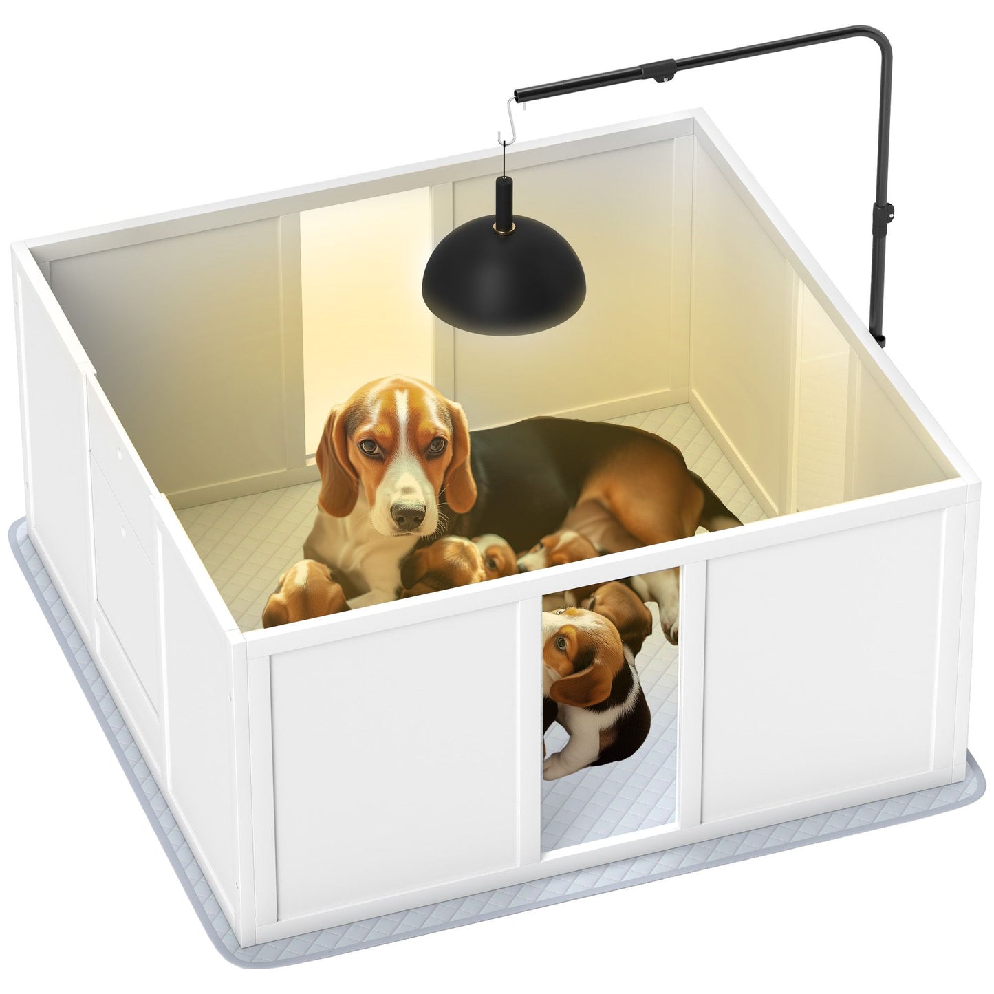 Whelping box for dogs with mother beagle and puppies under a heat lamp in a white enclosed space
