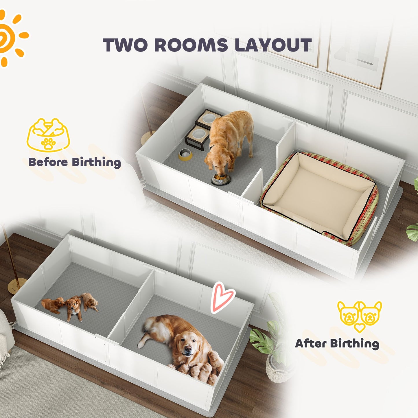 Two rooms layout of a whelping box for puppies showing separate areas before and after birthing with a dog and puppies