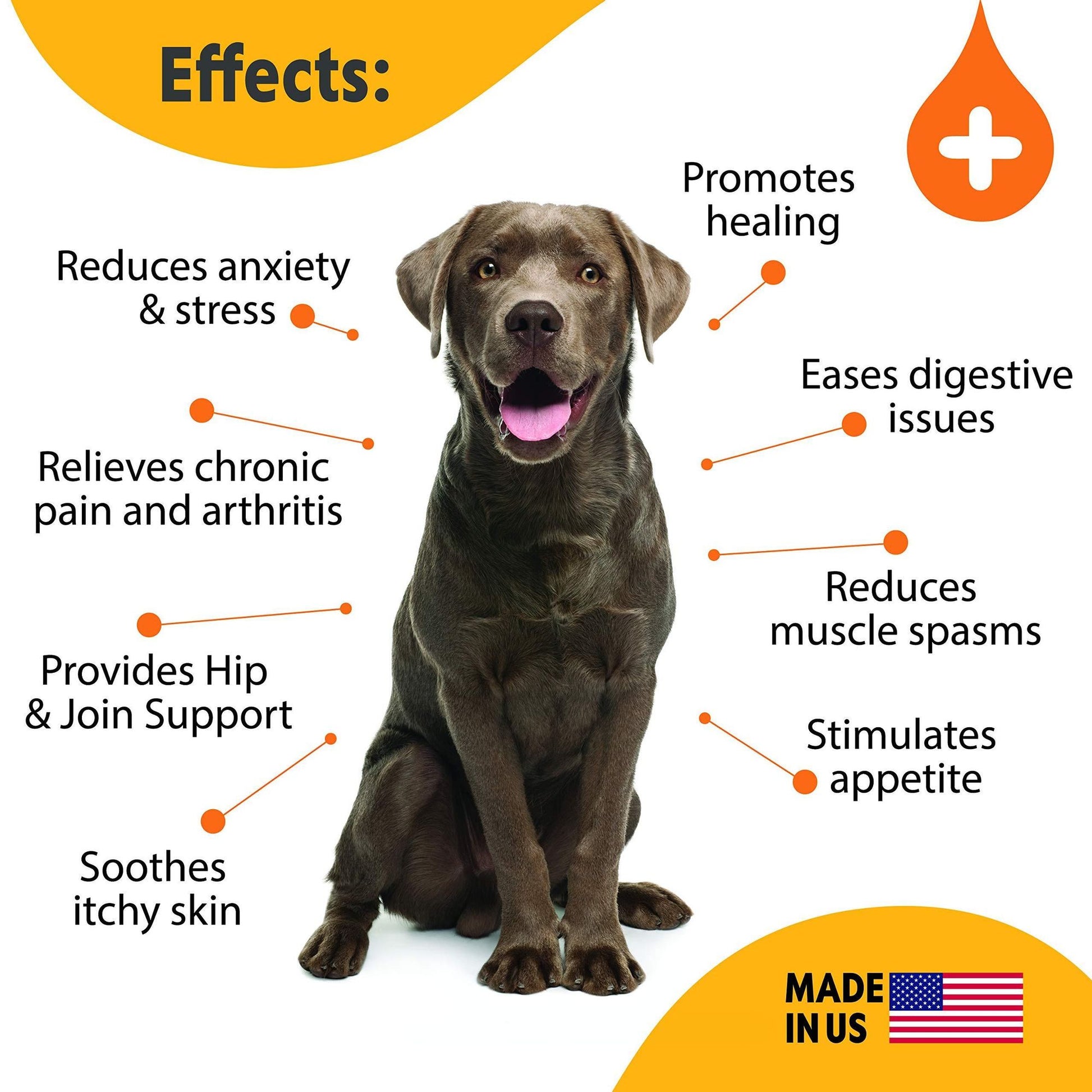 Brown dog with hemp oil for dogs joint pain benefits including reducing anxiety and joint support