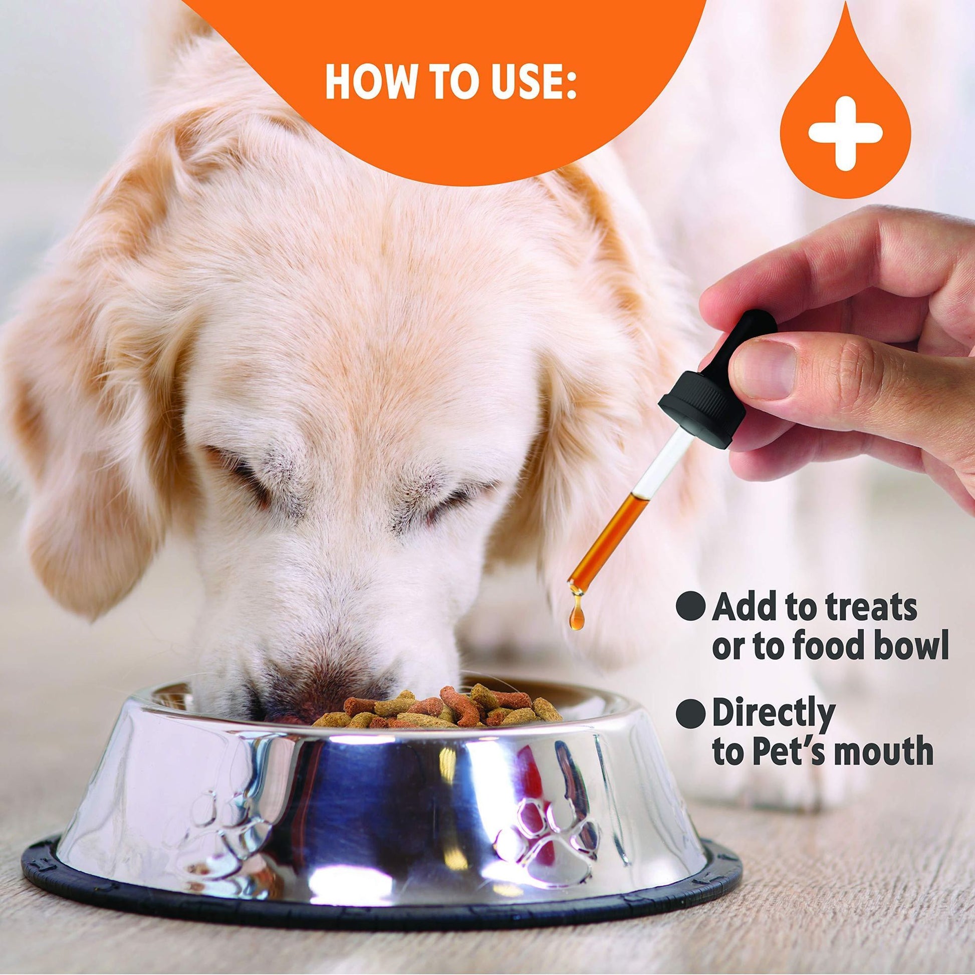 How to use hemp oil for dogs joint pain by adding drops to food bowl or directly to pet's mouth