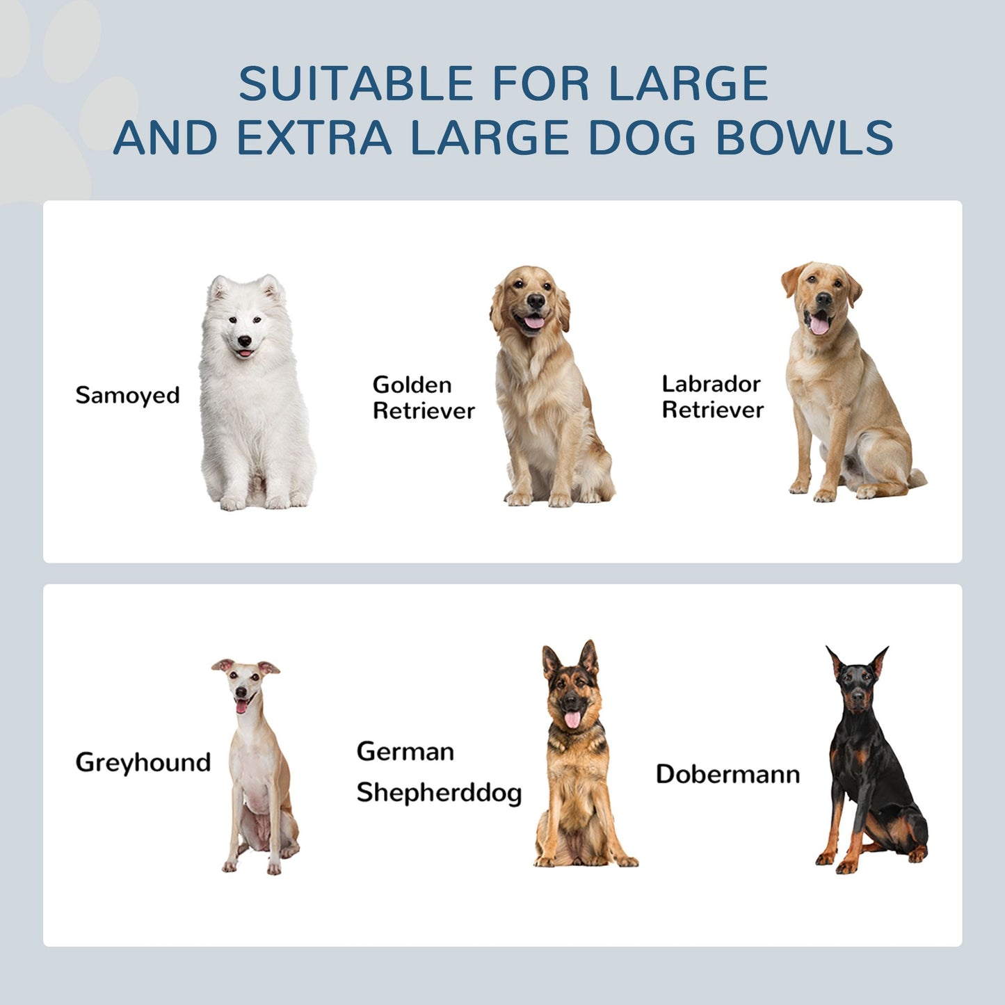 Large dog breeds including Samoyed Golden Retriever Labrador Greyhound German Shepherd Dobermann for elevated dog bowls for large dogs