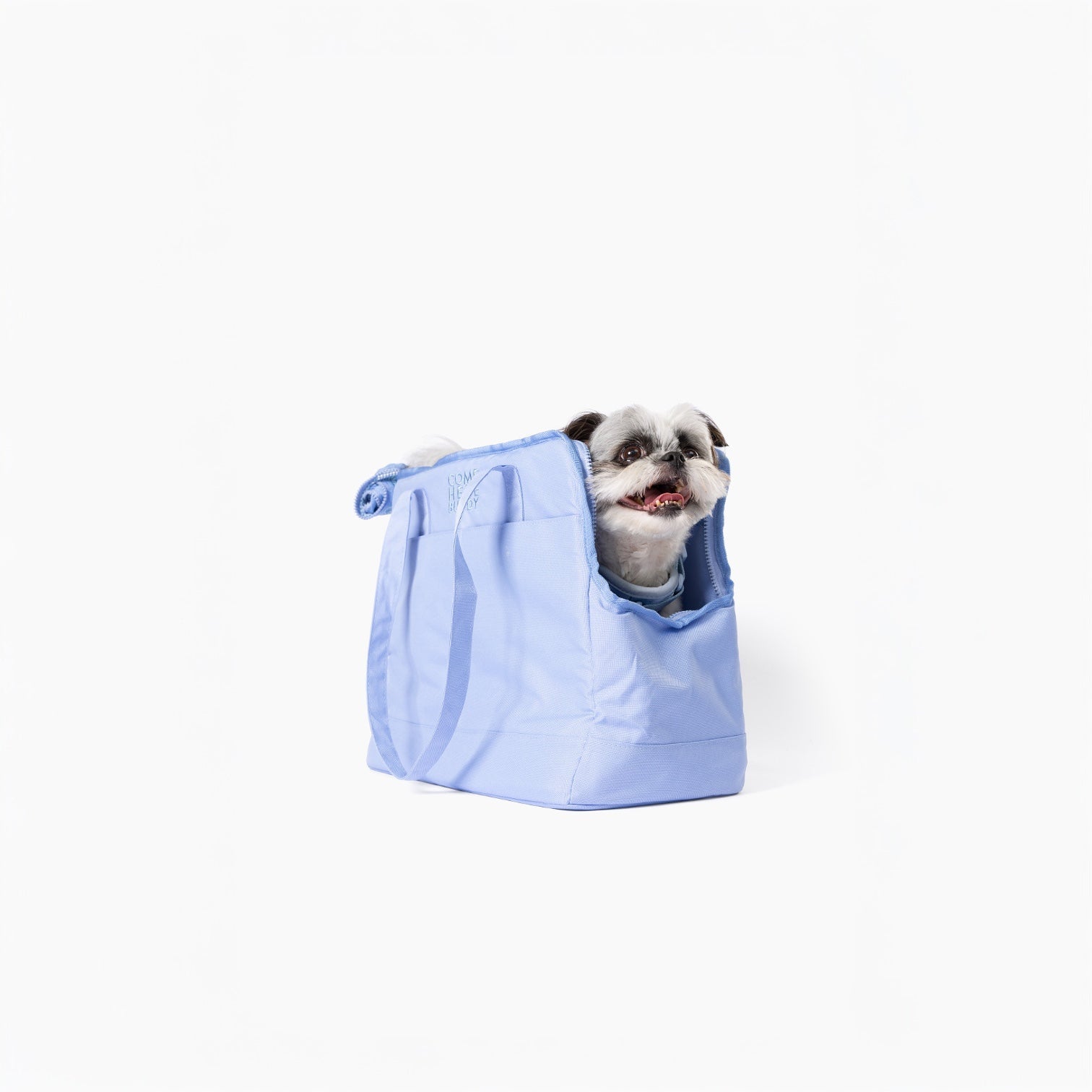 Light blue Come Here Buddy pet tote bag for dogs and cats with a happy dog peeking out