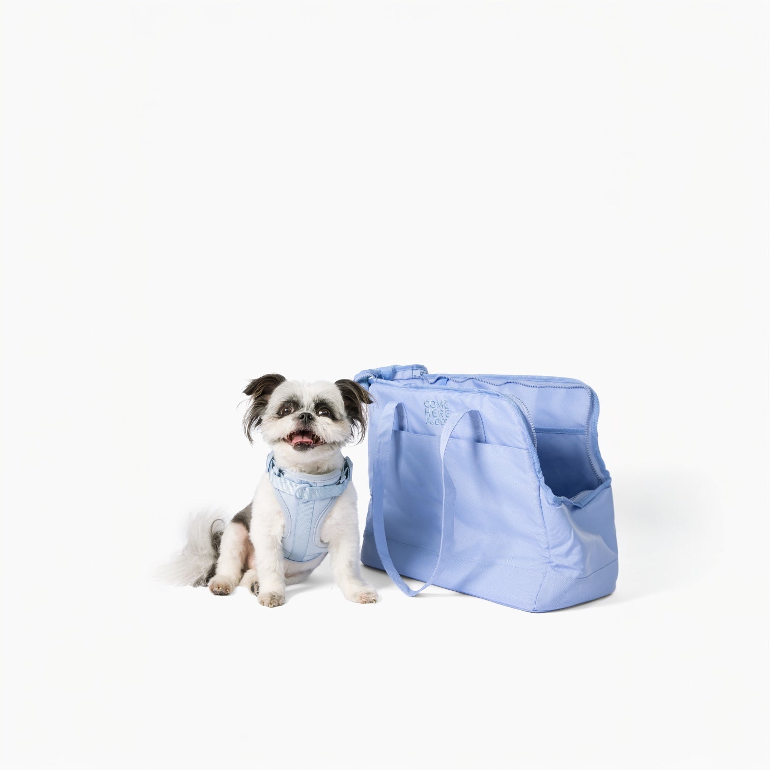 Light blue Come Here Buddy pet tote bag for dogs and cats with a small dog sitting beside it