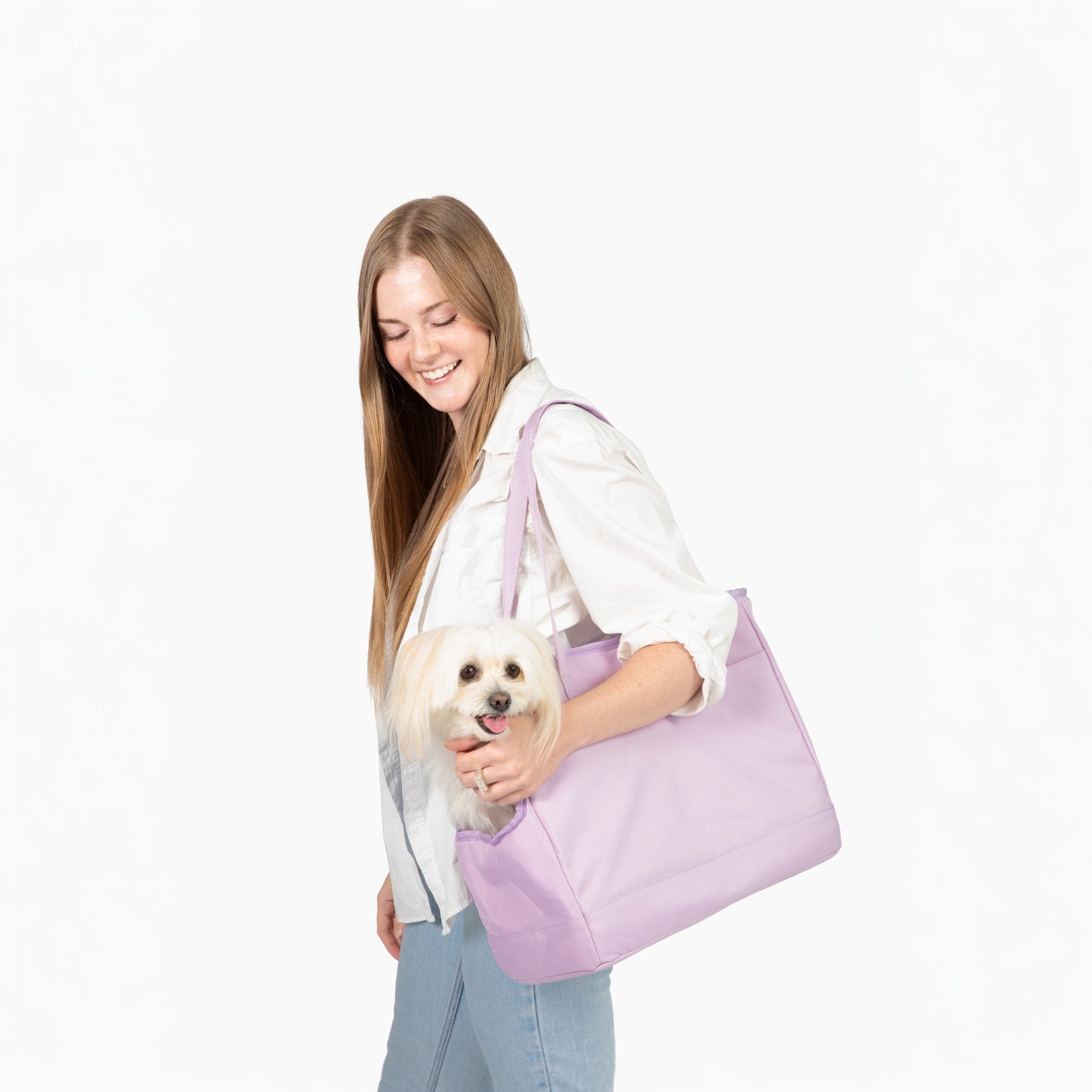 Come Here Buddy stylish pet tote bag for dogs and cats, comfortably carrying a small dog