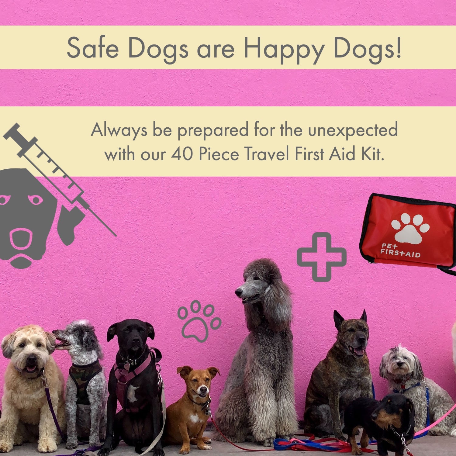 American Pet Supplies pet travel first aid kit with red case and diverse group of dogs on pink background