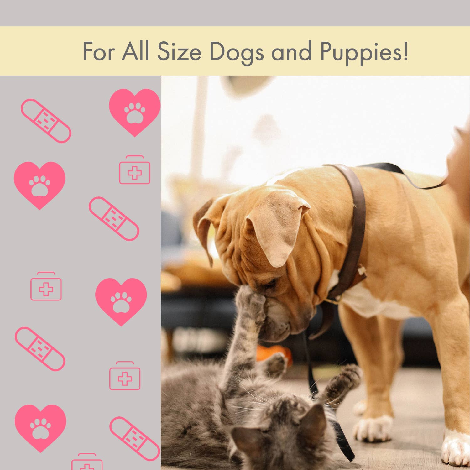 American Pet Supplies pet travel first aid kit for all size dogs and puppies with playful dog and kitten