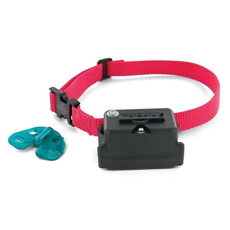 PetSafe dog collar for stubborn dogs with red adjustable strap and black control unit with two blue keys