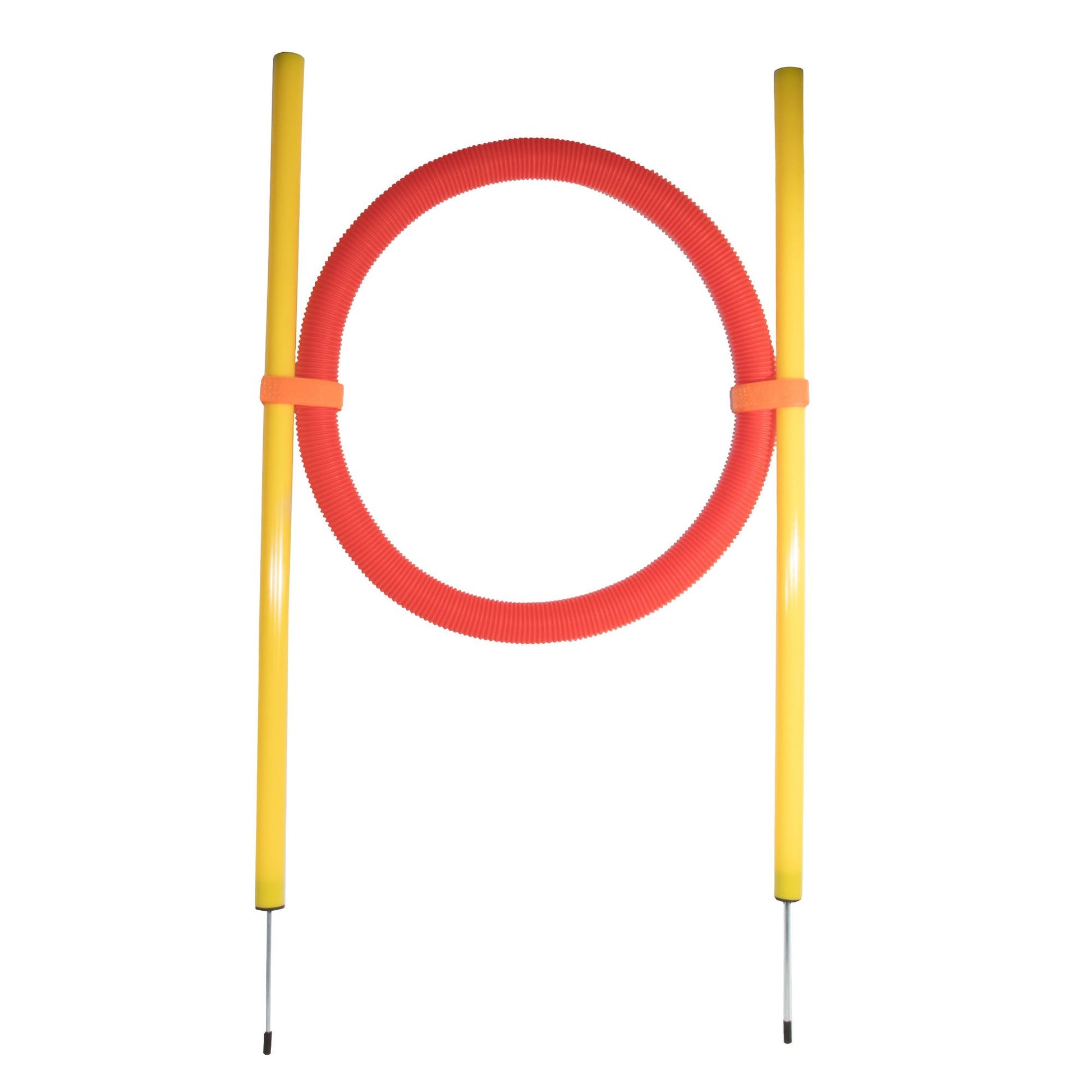 Portable dog hoop trainer with bright yellow poles and a red flexible hoop for dog agility training