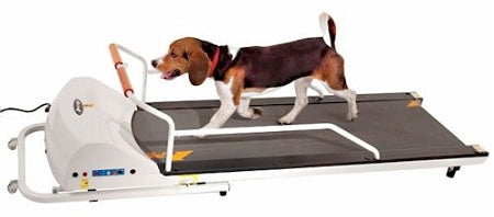 PetRun PR720F Dog Treadmill PawCounter.com
