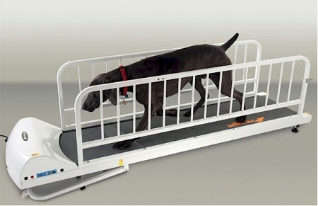 PetRun PR725 Dog Treadmill PawCounter.com