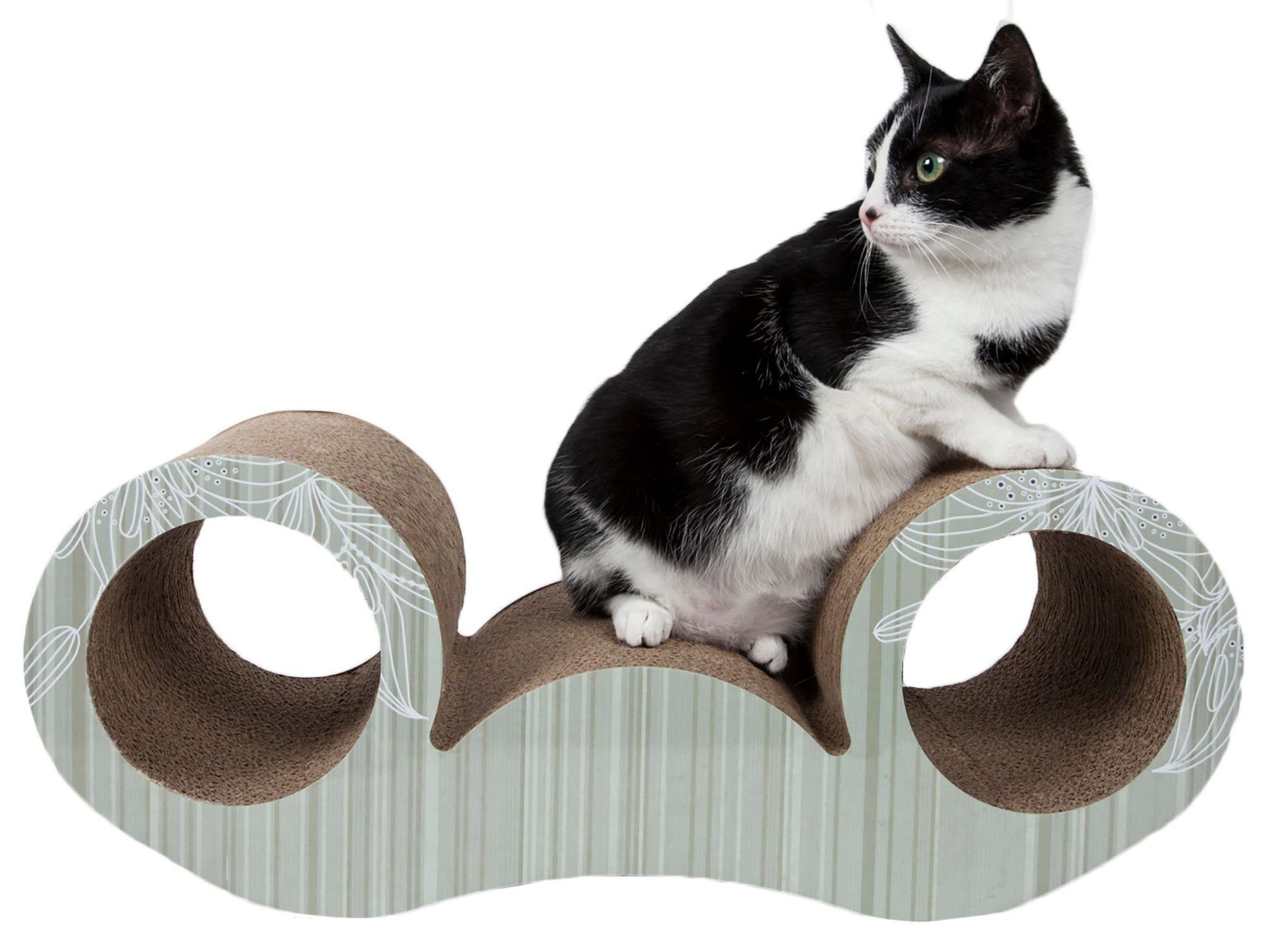 Black and white cat sitting on premium cat scratcher furniture with curved tunnel design