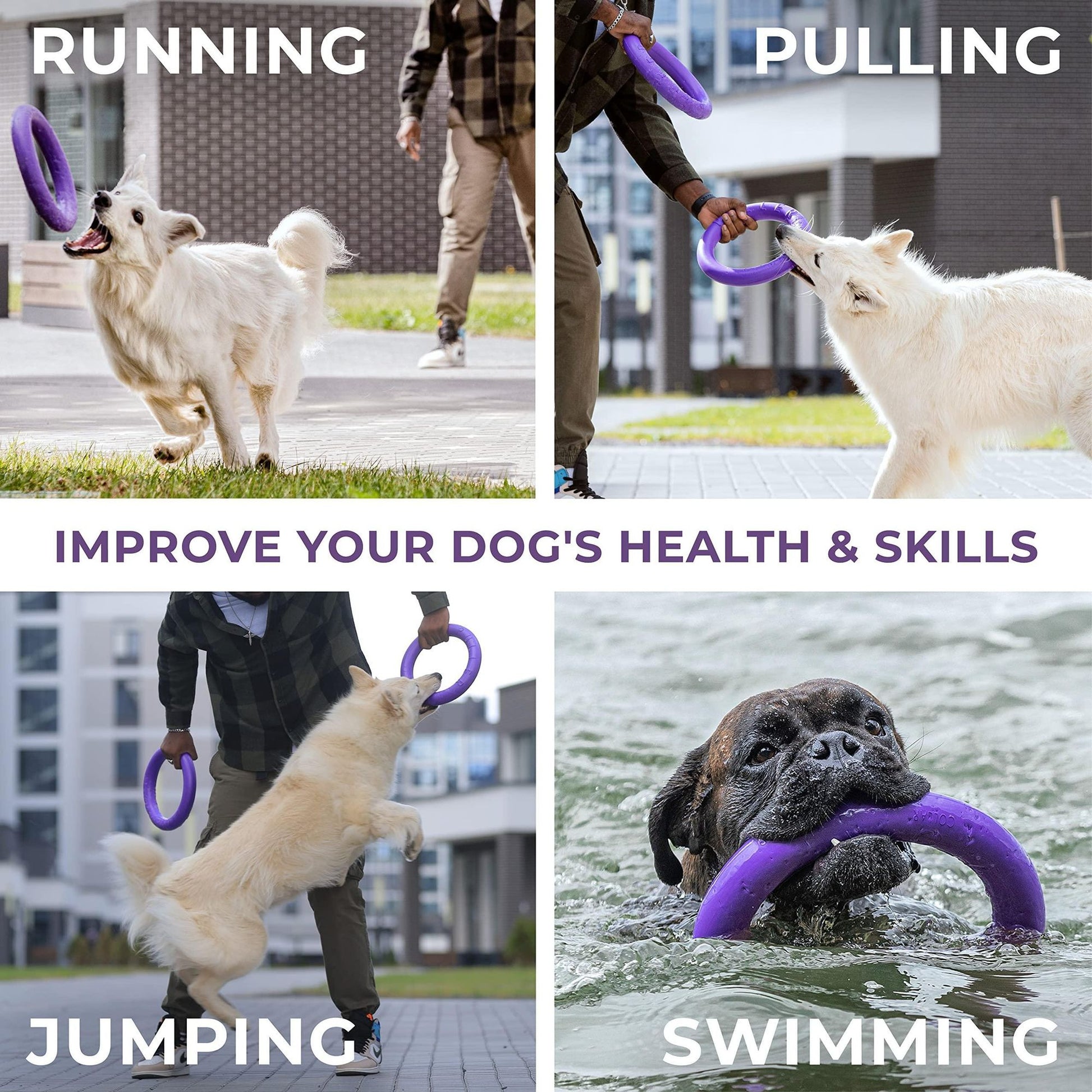 Outdoor dog fetch ring used for running pulling jumping and swimming activities with dogs