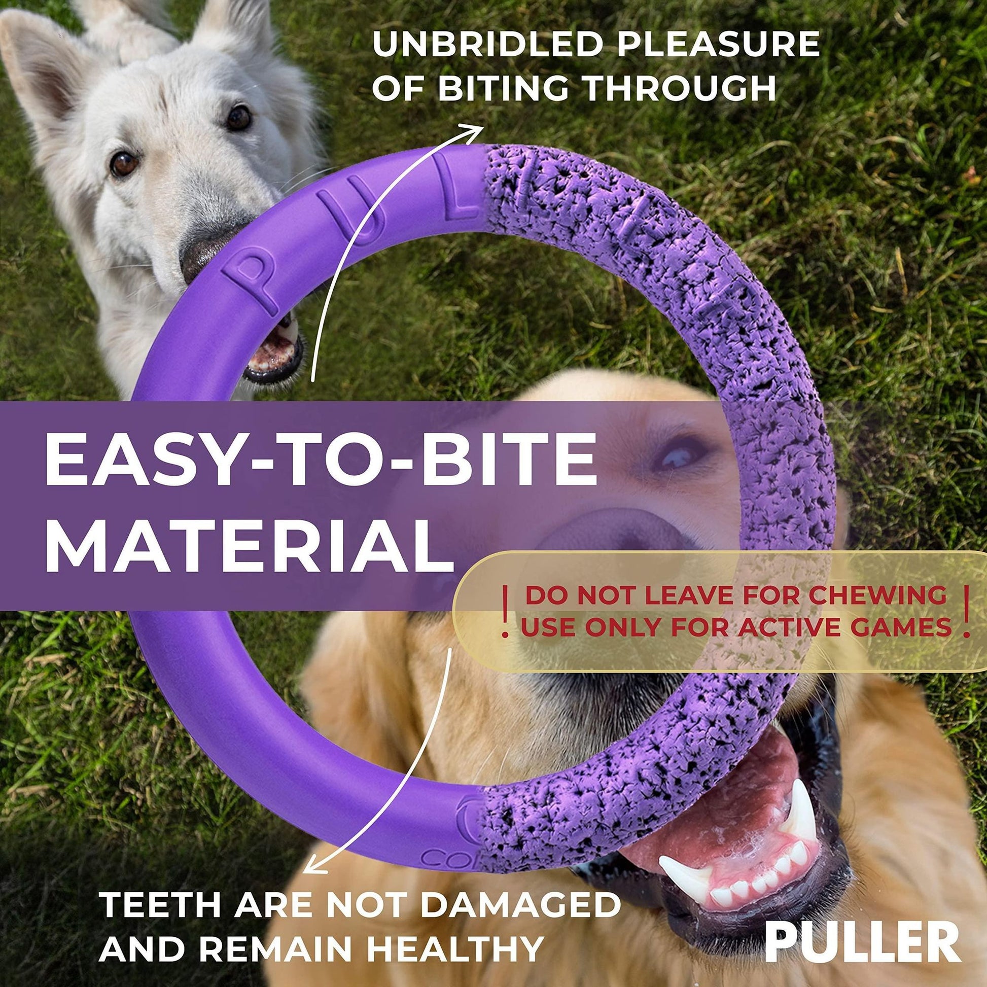 Purple outdoor dog fetch ring made with easy-to-bite material shown with two dogs playing outdoors