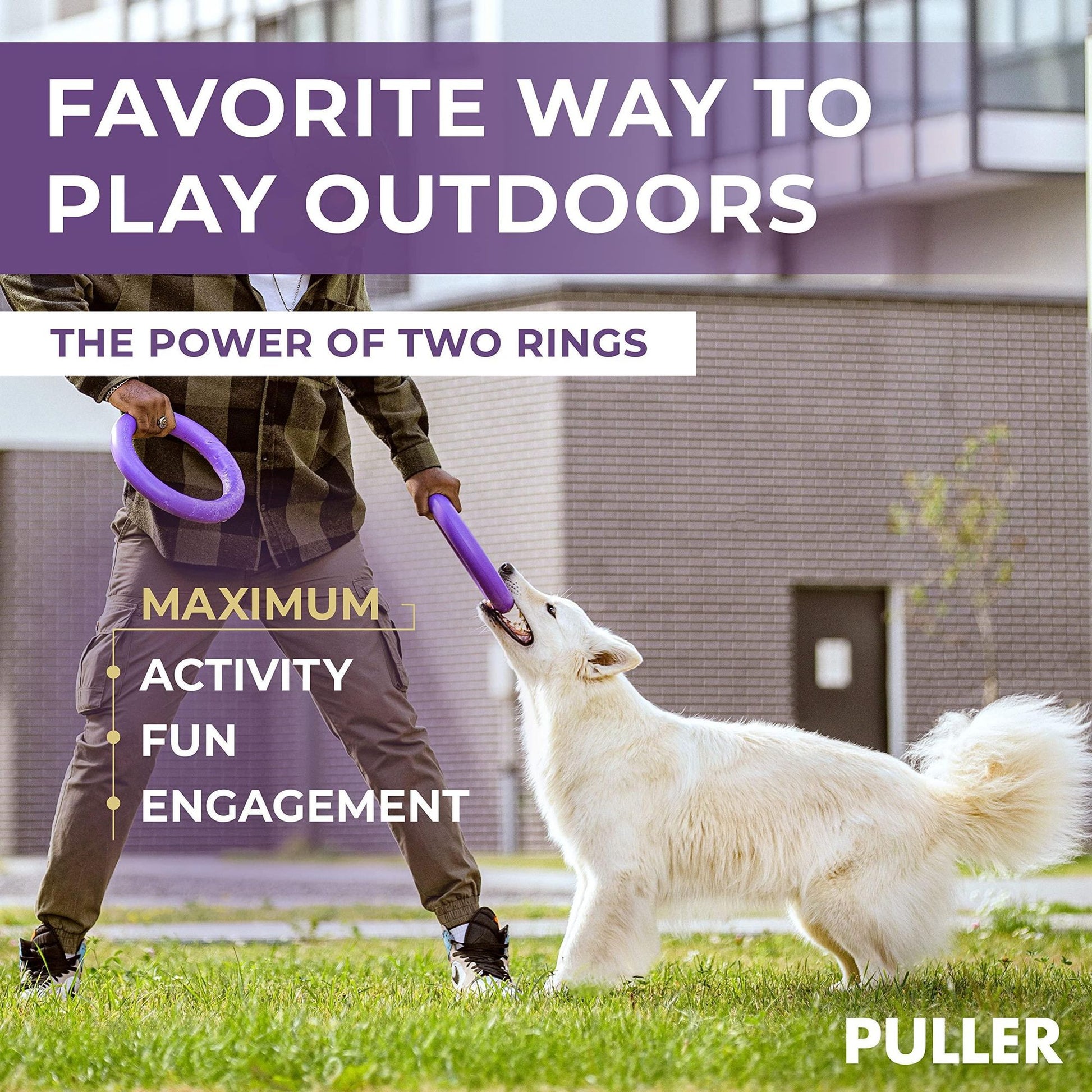 Person playing with white dog using purple outdoor dog fetch ring in grassy backyard