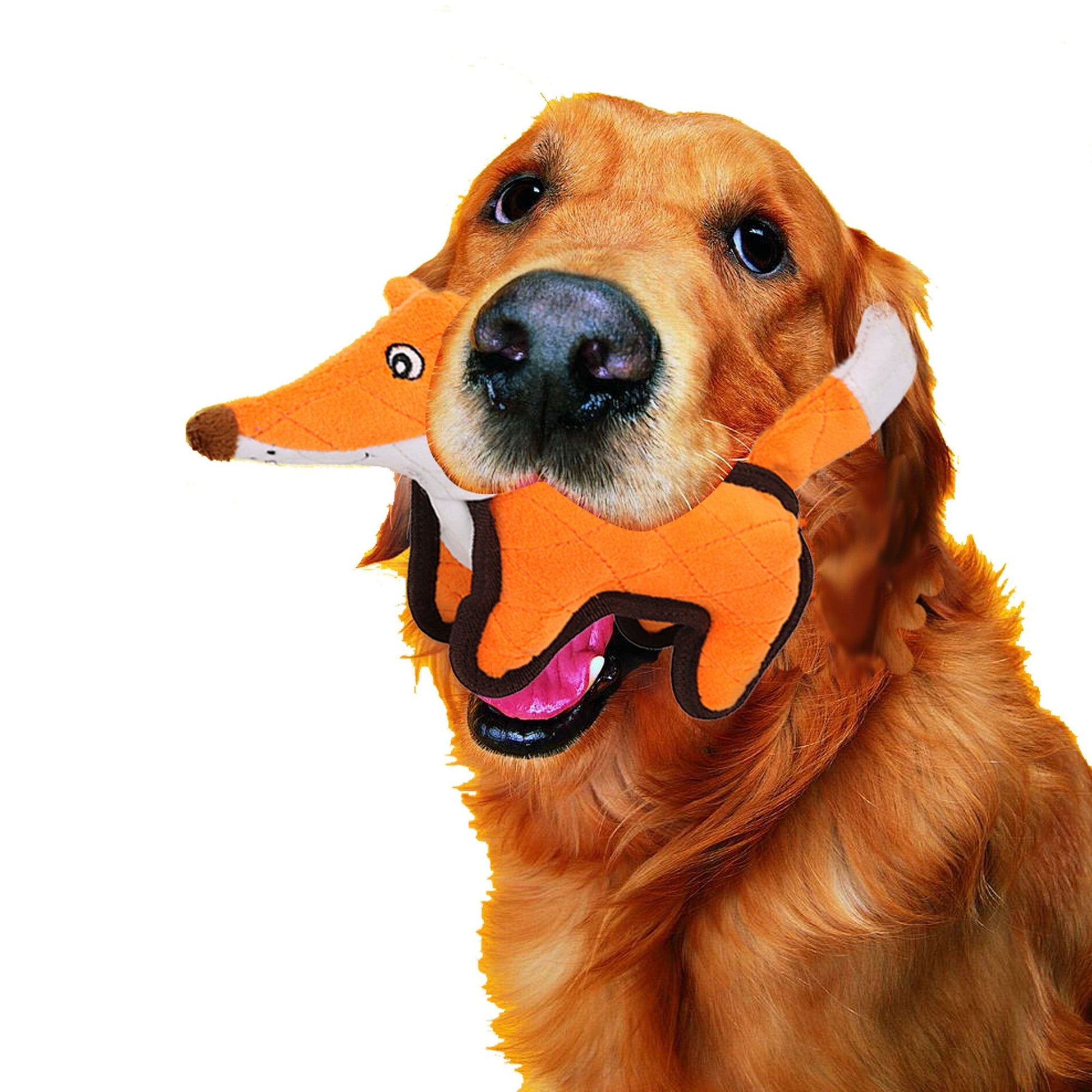 Golden retriever dog holding an orange quilted plush dog toy shaped like a fox in its mouth