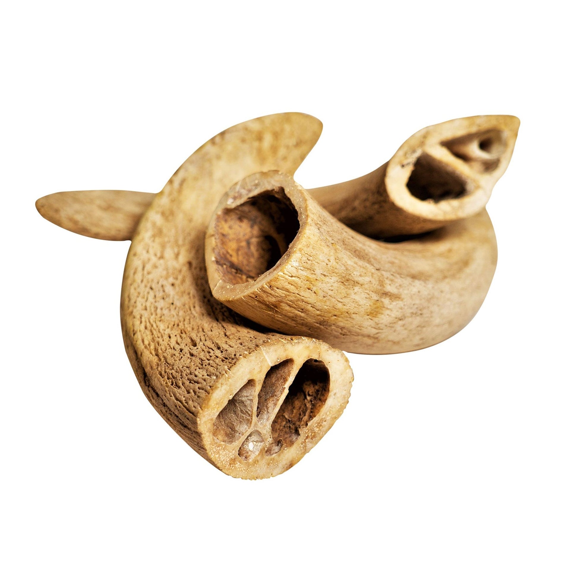 Natural water buffalo dog chews made from hollow, durable buffalo horn pieces for healthy chewing