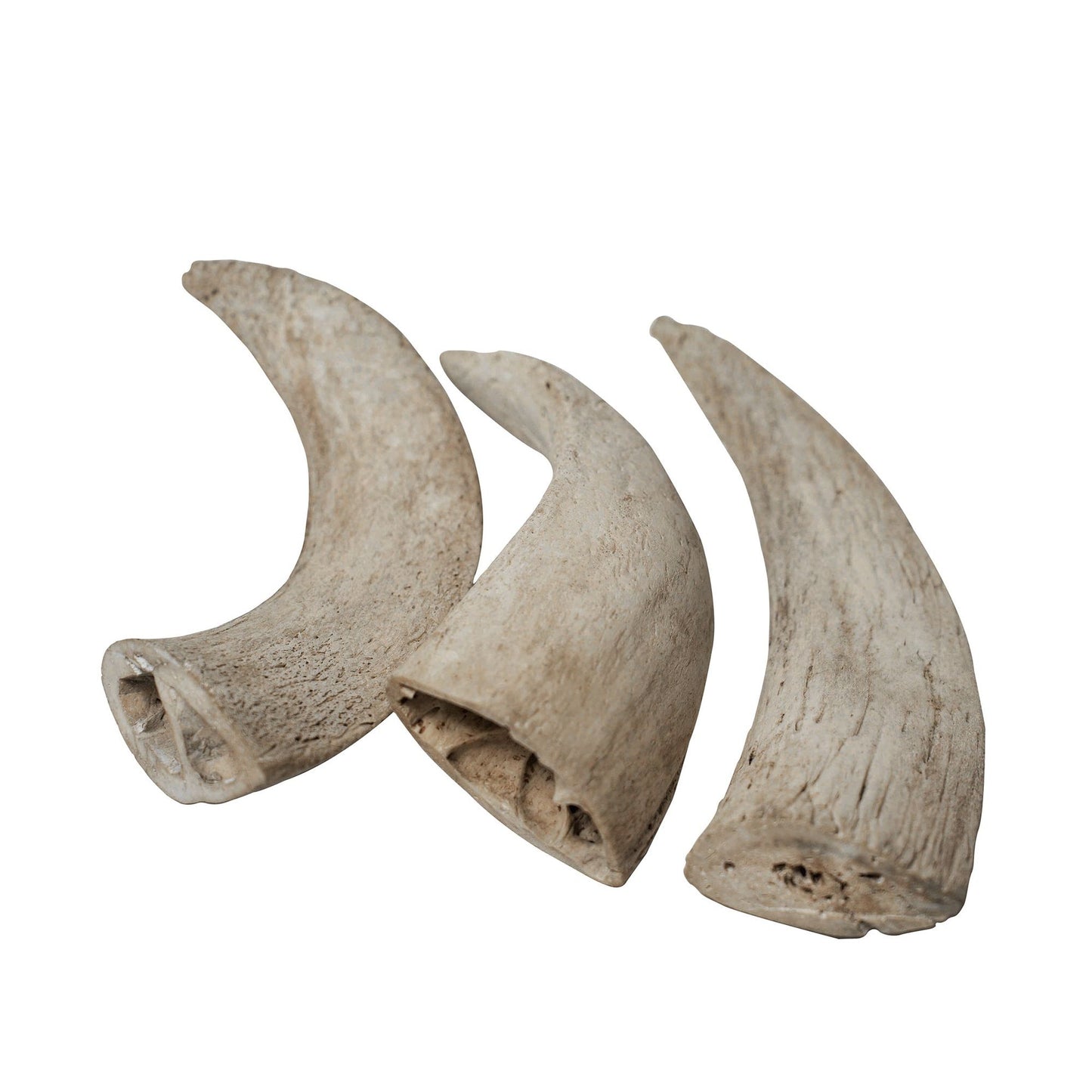 Three natural water buffalo dog chews from PawCounter.com isolated on white background