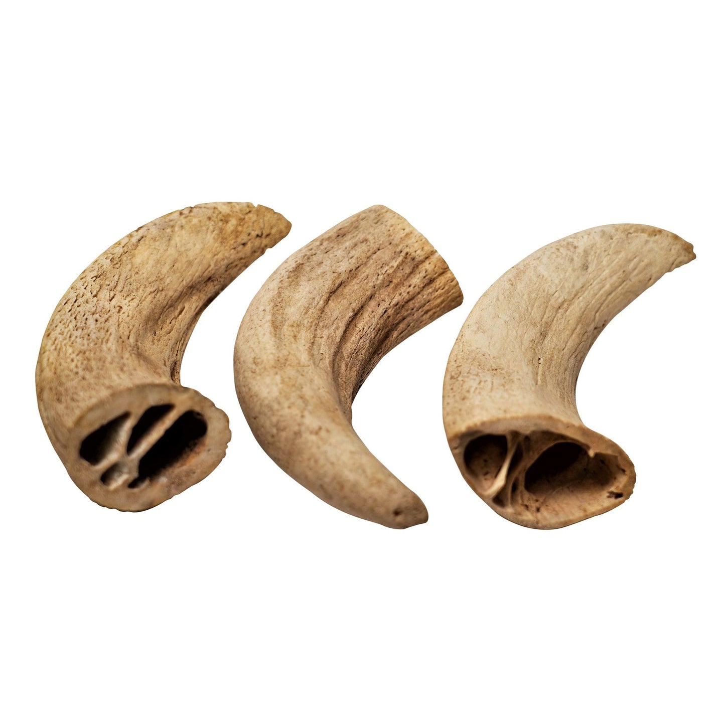 Natural water buffalo dog chews set of three curved durable treats for dogs from PawCounter.com