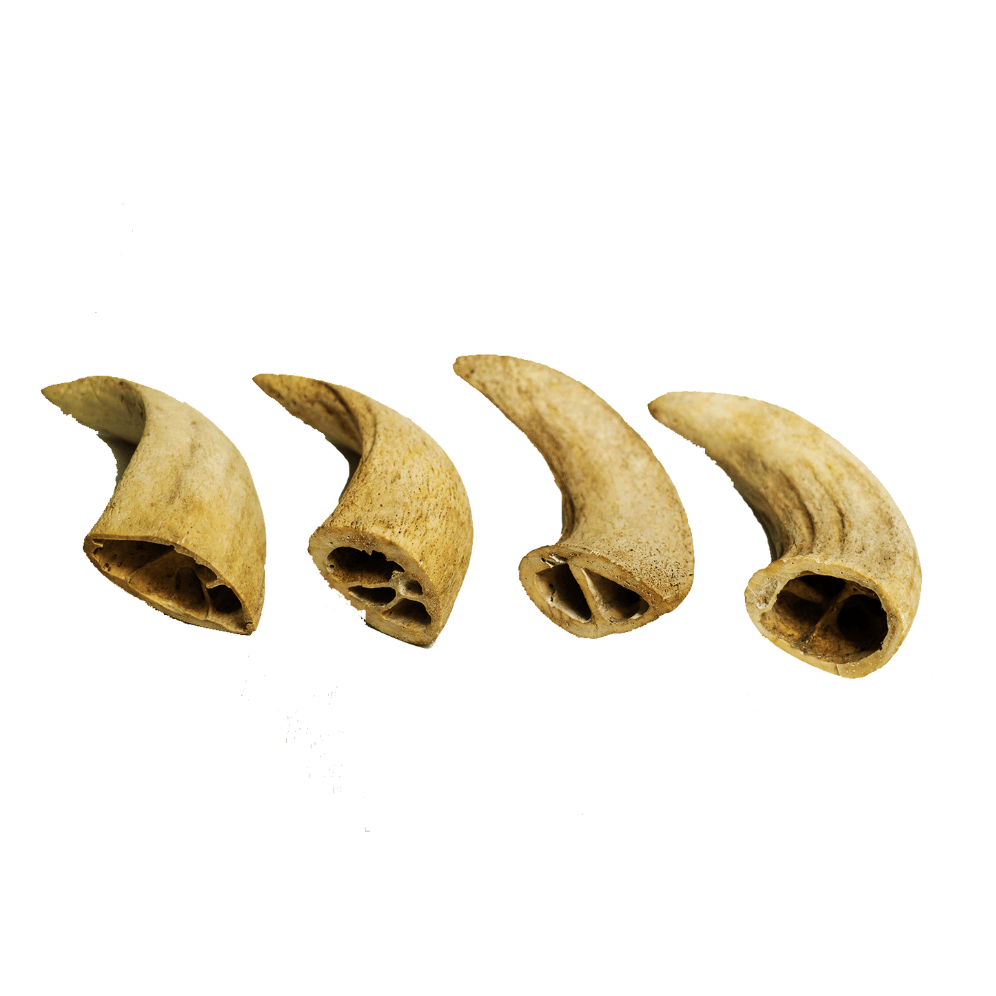 Natural water buffalo dog chews in various shapes and sizes for healthy pet chewing