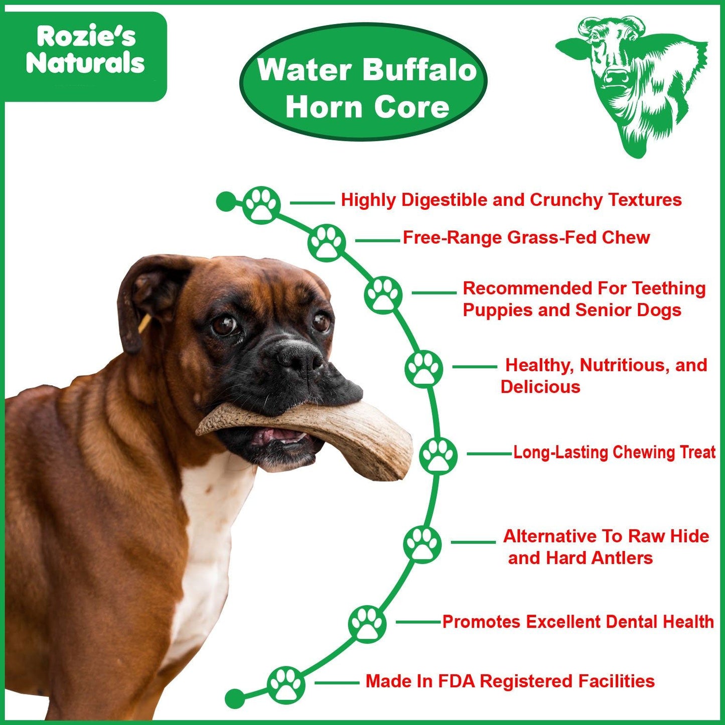 Dog chewing natural water buffalo dog chews horn core with benefits like digestible texture and dental health