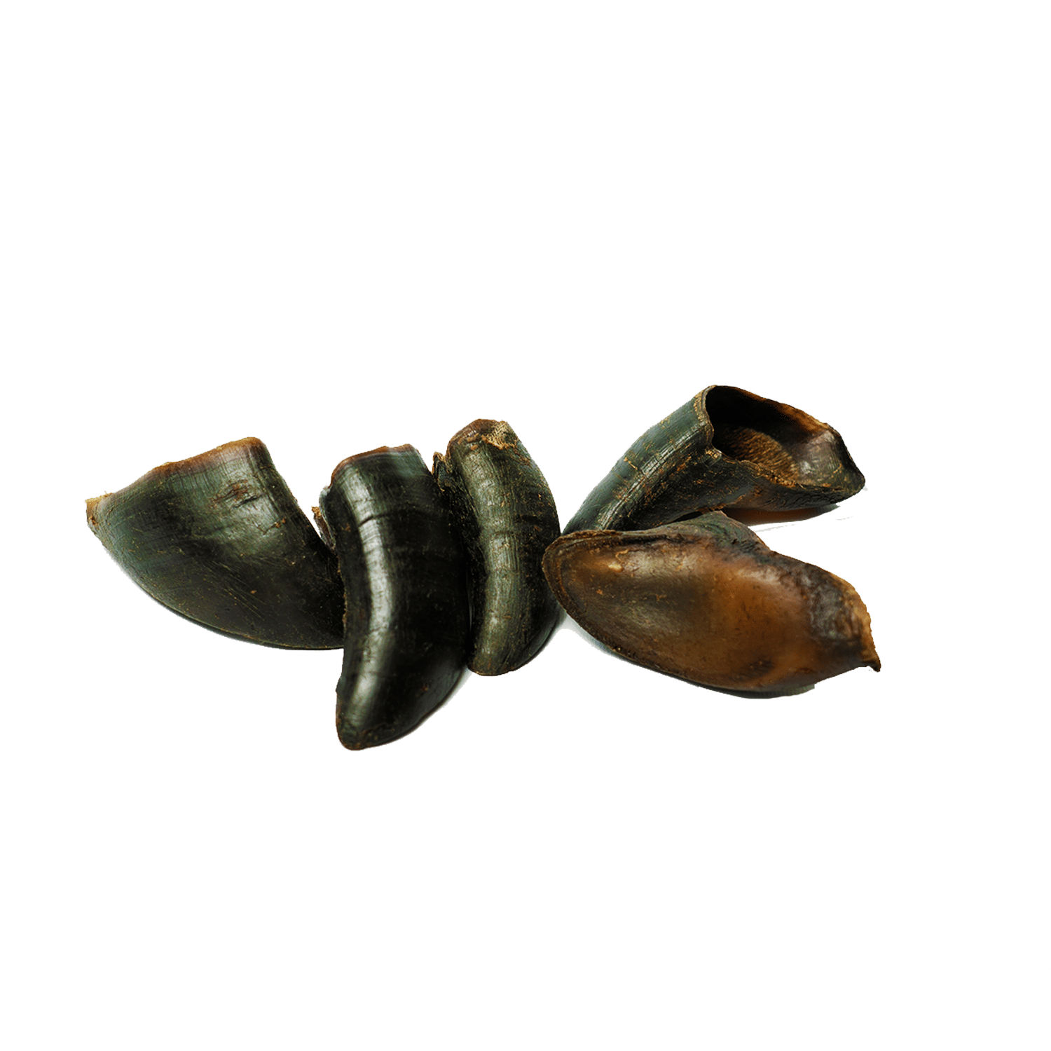 Natural water buffalo hooves for dogs chews from PawCounter.com for healthy dental care