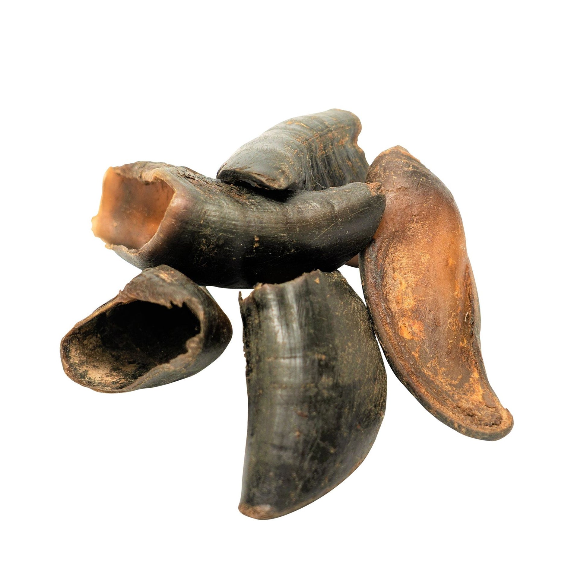 Natural water buffalo hooves for dogs arranged on a white background pet chew treats