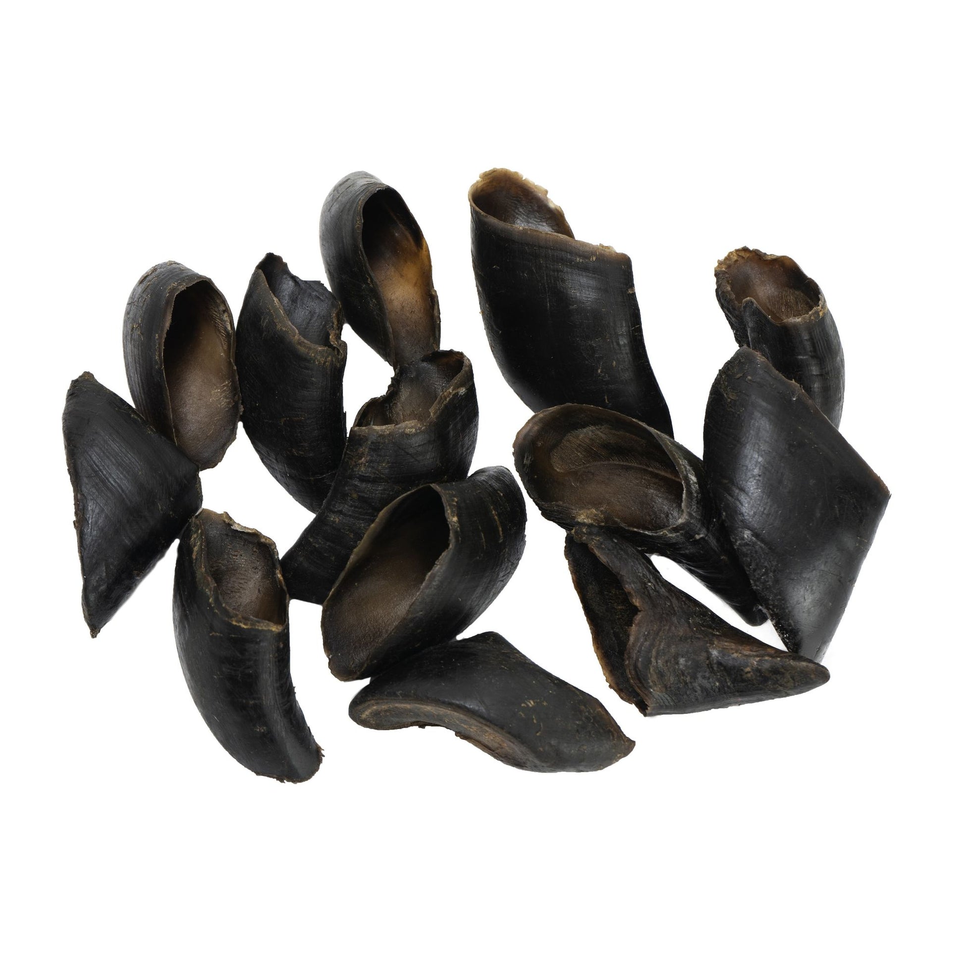 Natural water buffalo hooves for dogs chews from PawCounter.com displayed on white background