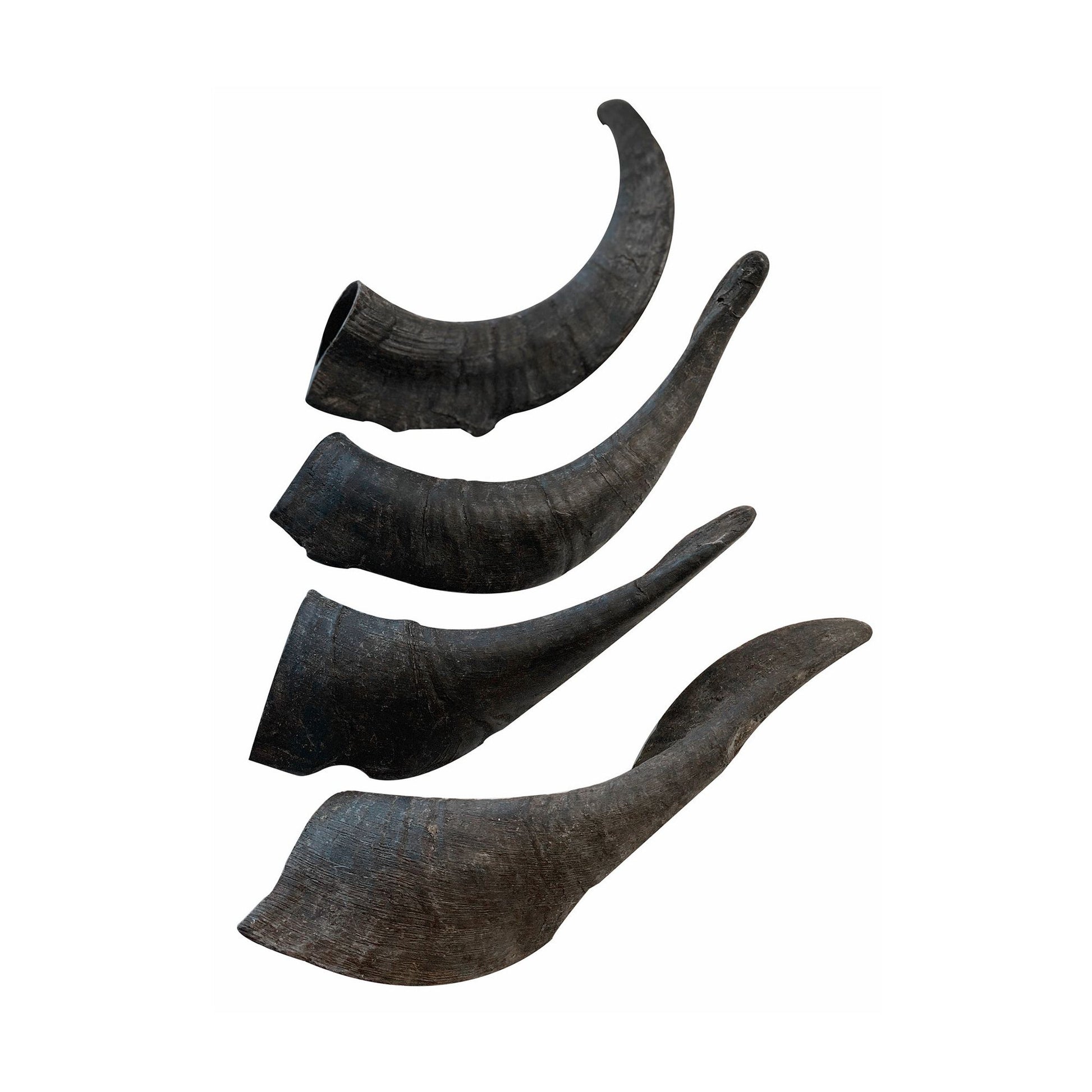 Set of four natural goat horn dog chews in varying shapes and sizes for durable pet chewing