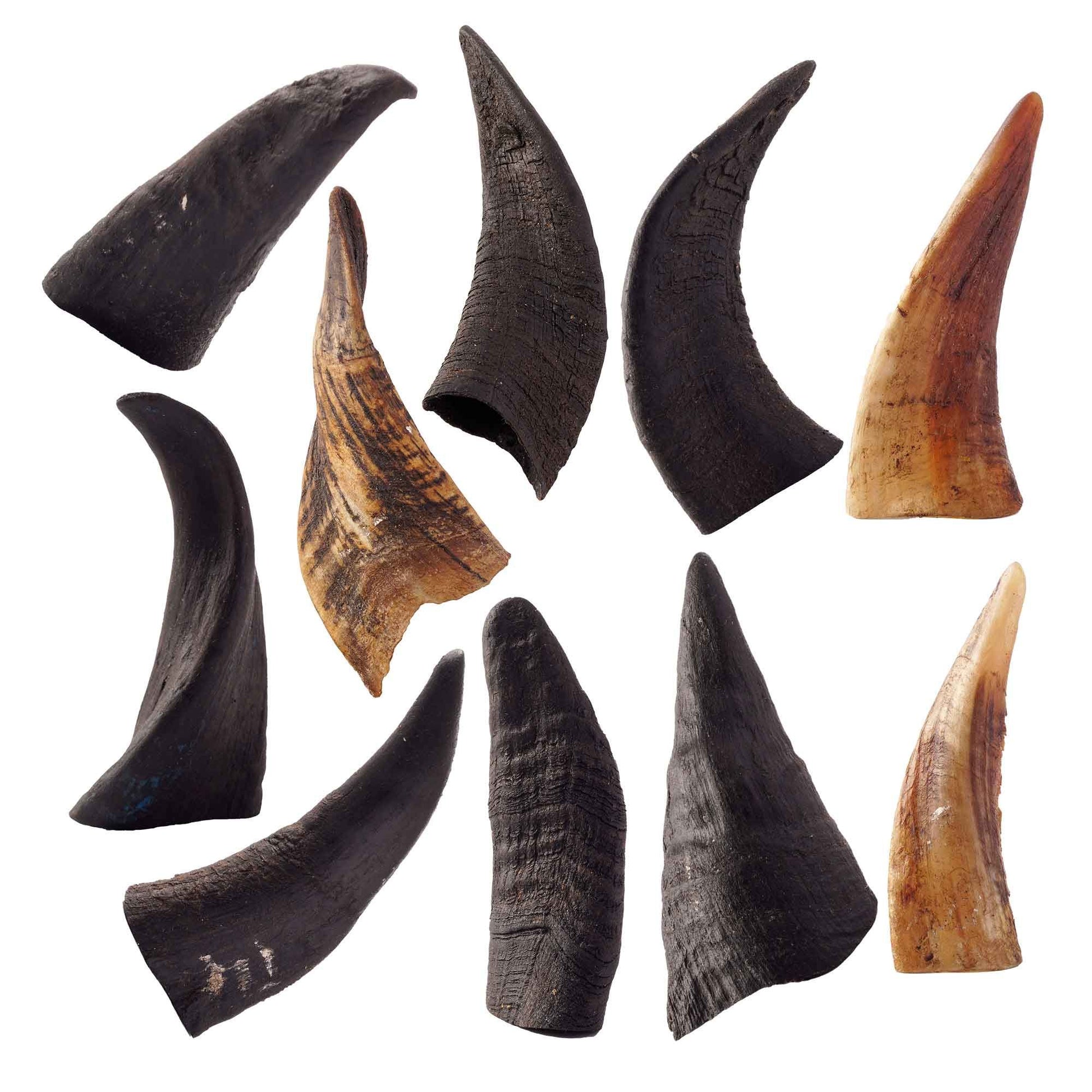 Natural goat horn dog chews in various shapes and colors for durable pet chewing
