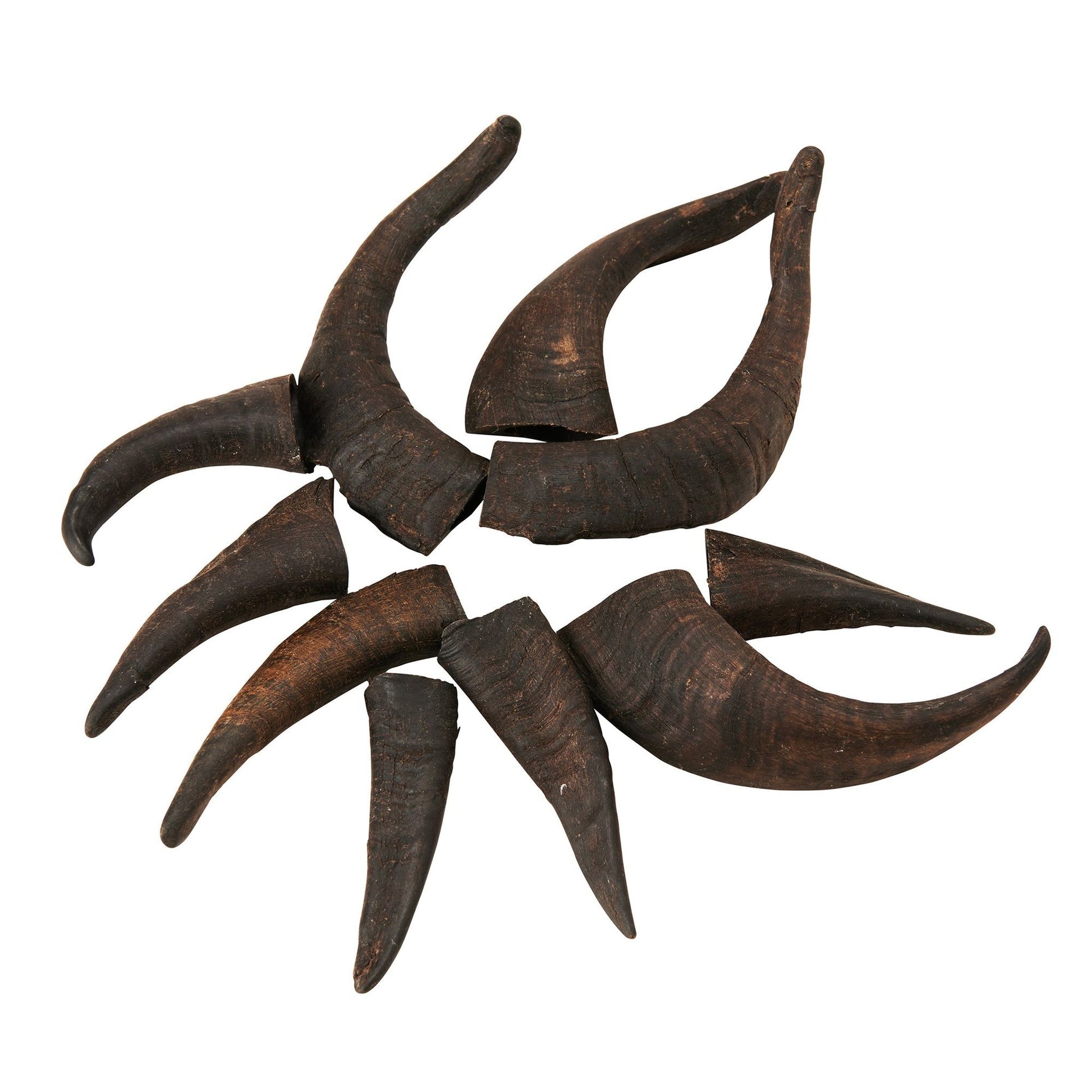 Natural goat horn dog chews from PawCounter.com arranged on white background for pets