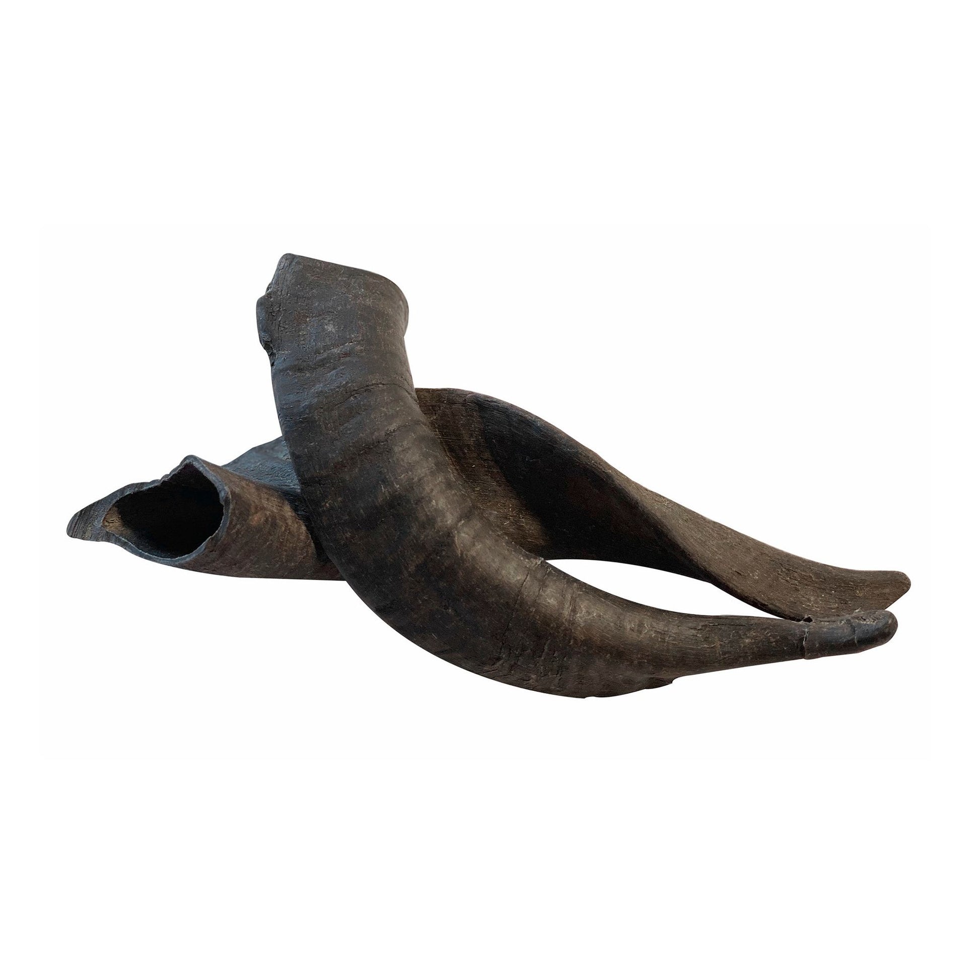 Two natural goat horn dog chews in dark brown color for durable pet chewing
