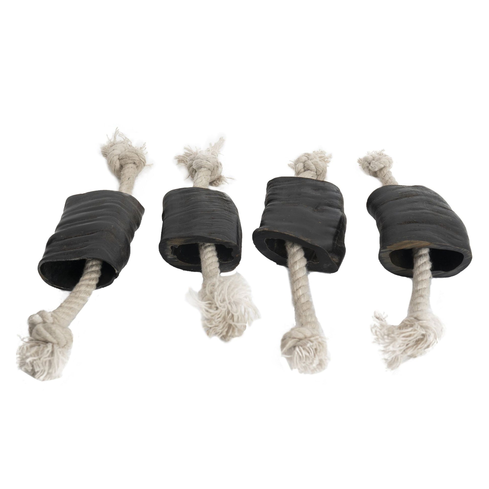 Water buffalo horn dog chew with attached rope for durable and engaging pet chewing