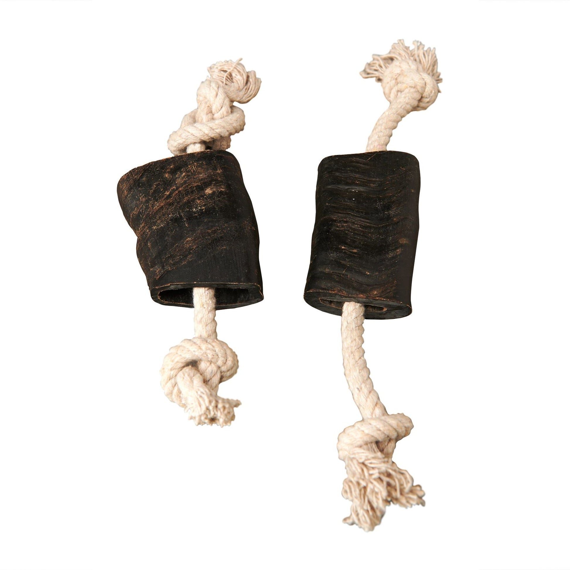 Natural water buffalo horn dog chew with durable white rope for strong and healthy chewing