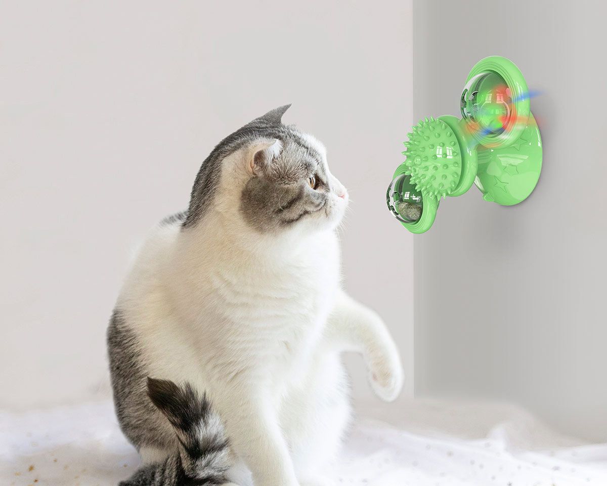 Gray and white cat playing with a green spinning cat toy attached to a wall