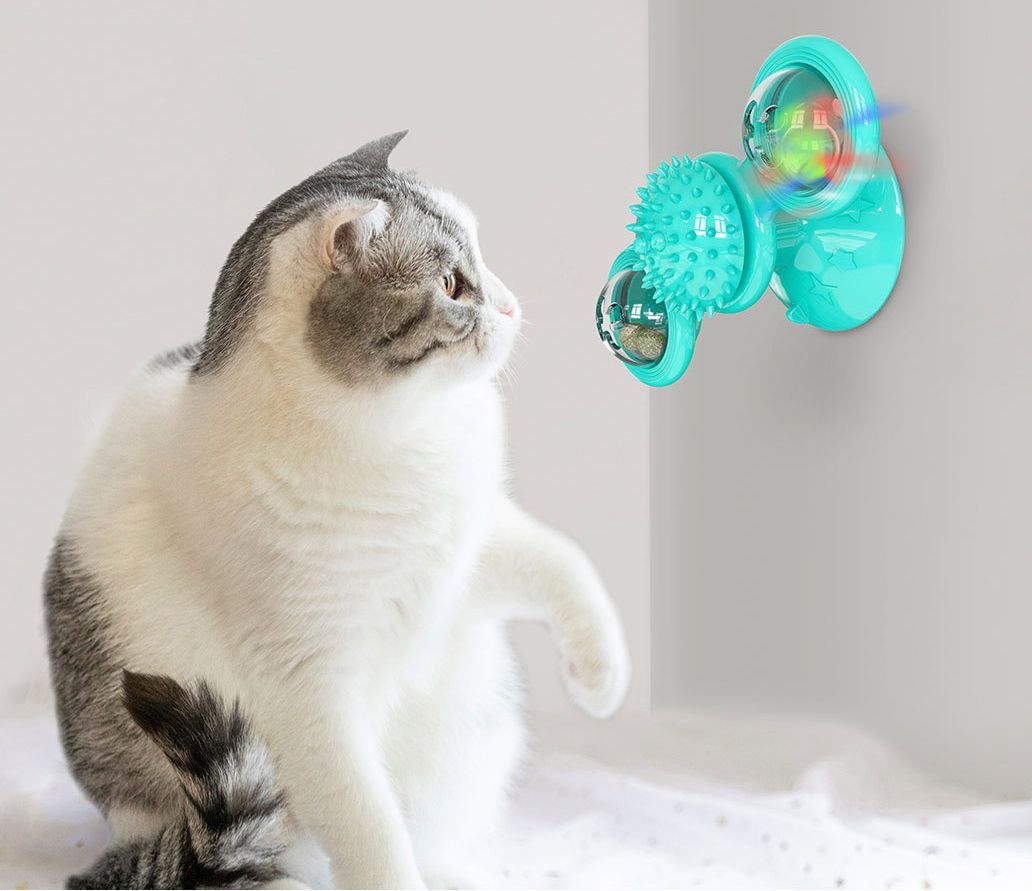 Cat playing with a turquoise spinning cat toy attached to the wall by PawCounter.com