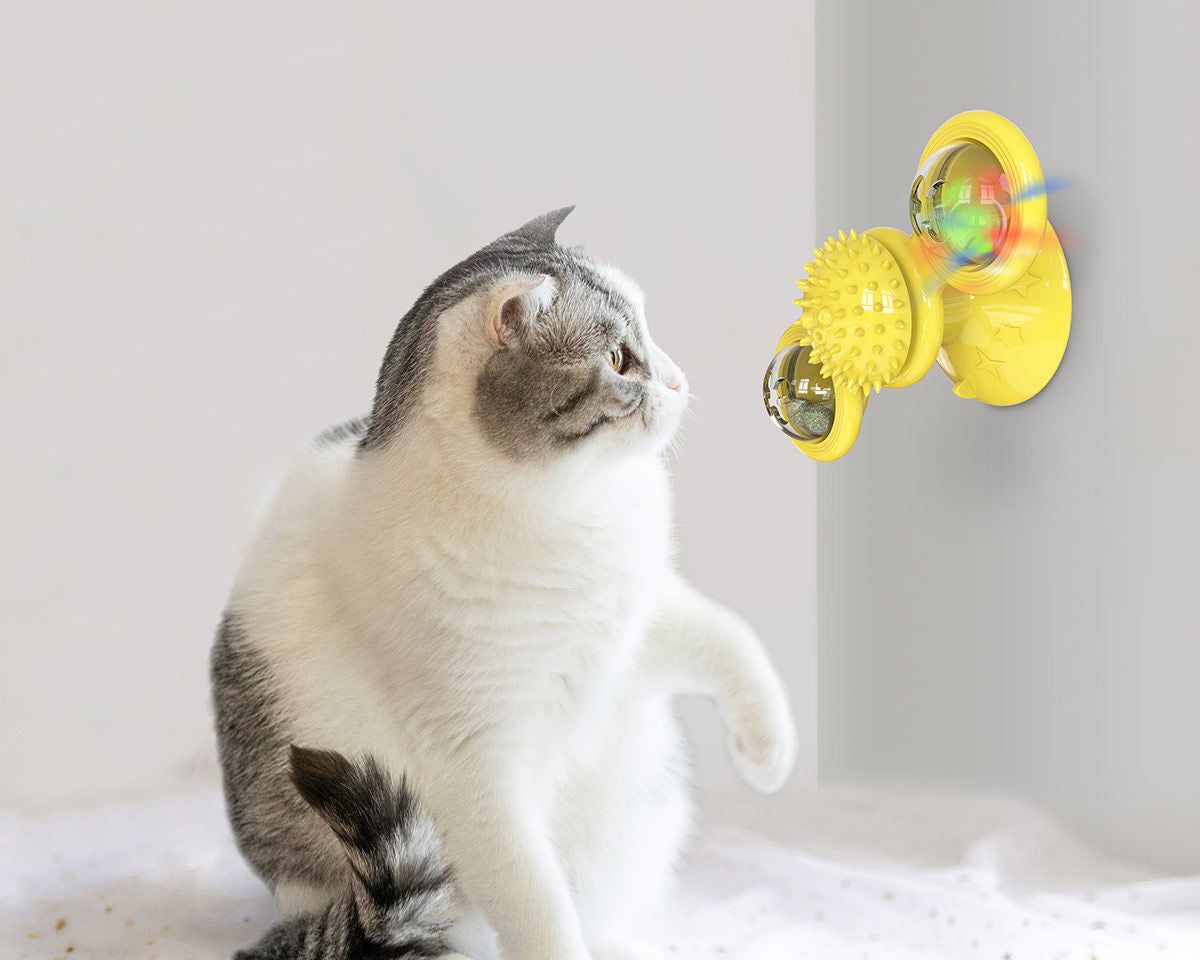 Gray and white cat playing with a yellow spinning cat toy attached to the wall